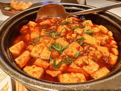 陈麻婆豆腐-俏江南·渔嫂烧河鲜(中正天街店)