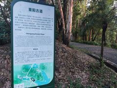 -三水森林公园