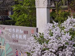 -报国寺