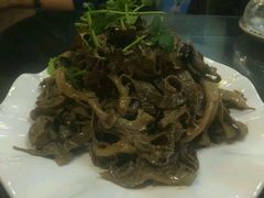 android_upload_pic-津菜宋记老房子(平山道店)