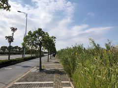 -春花秋色城市公园