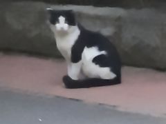 -李叔同故居纪念馆