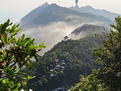 -梧桐山风景名胜区