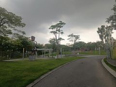 -白石龙音乐公园