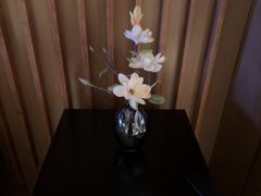 -浅深(北京北四环精品店)