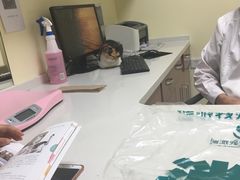 -瑞派宠物医院·24h·骨外科·皮肤科·全科宠物医疗转诊中心(沈阳浑南院)
