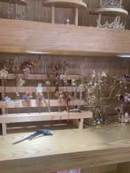 -星豆豆儿童摄影(南郊太白南路店)