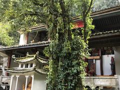 -和顺古镇