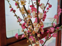 -湖山人家·湖景餐厅·特色农家菜(太湖西山店)
