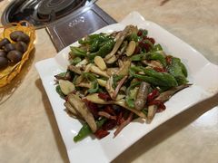 -蘑统田下·野生菌火锅