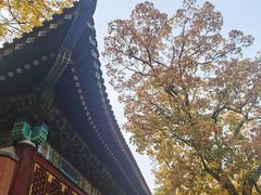-香山公园