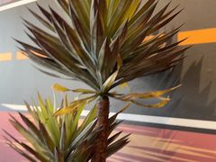 -东钱湖小普陀景区