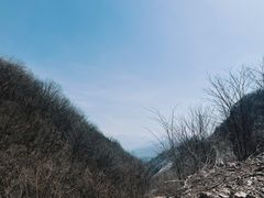 -青峰峡国家森林公园