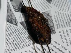 -小尕子·新疆菜(明园店)