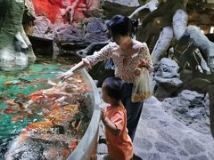 -多彩贵州城极地海洋世界