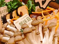 -大龙燚·旷野鲜火锅(广州首店)