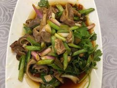 芜茜葱捞猪肚-粤·向群饭店(龙津东路总店)