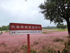 -汉长安城未央宫国家考古遗址公园