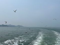 -海驴岛(荣成市)