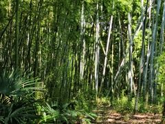 -苏州河梦清园环保主题公园