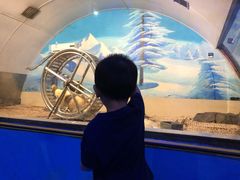 -台州海洋世界