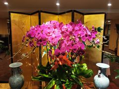 -天伦王朝酒店·盛华瑄餐厅