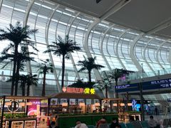 -合肥新桥国际机场-航站楼
