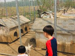 -河北村民俗体验园