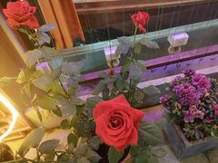 -外婆船宴餐厅·外婆喊你回家吃饭