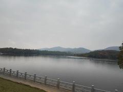 -佛手湖郊野公园