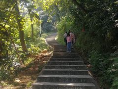 -黄埔油麻山森林公园