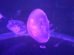 -鄂尔多斯野生动物园