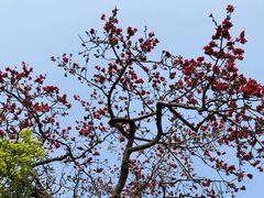 -协同和机器厂博物馆