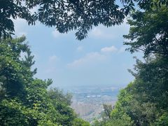 -惠山国家森林公园