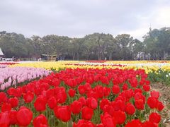 -大宁公园