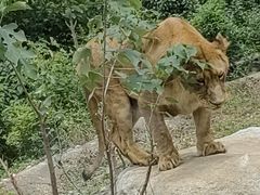 -西安秦岭野生动物园