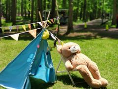 -黄海国家森林公园