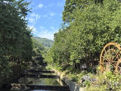 -广州白江湖森林公园