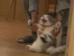 -舟山希尔顿酒店