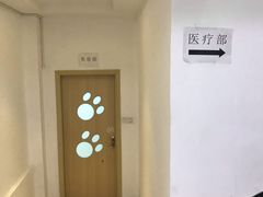 -创凡宠物医院·骨专科  猫科中心(西乡分院)