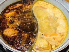 -青瓷火锅料理(西单大悦城店)