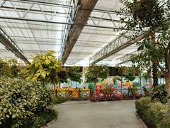 -南宫五洲植物乐园