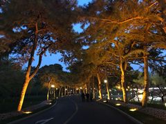 -钓鱼台国宾馆