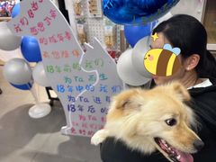 -宠小格时尚宠物生活馆(唐镇店)