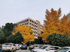 -西南交通大学(九里校区)