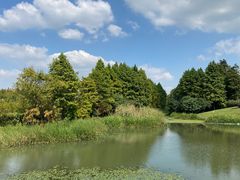 -贡湖湾湿地公园