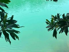 -水濂山森林公园