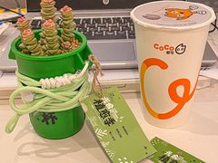 -CoCo都可(常德路店)