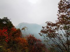 -秦岭风景区