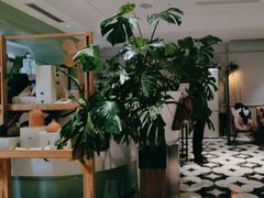 -一尺花园(安和花园店)